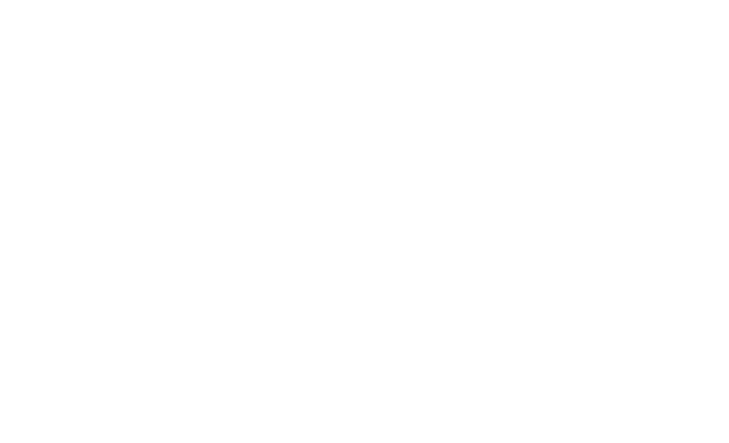 Goal Line Finance Consulting